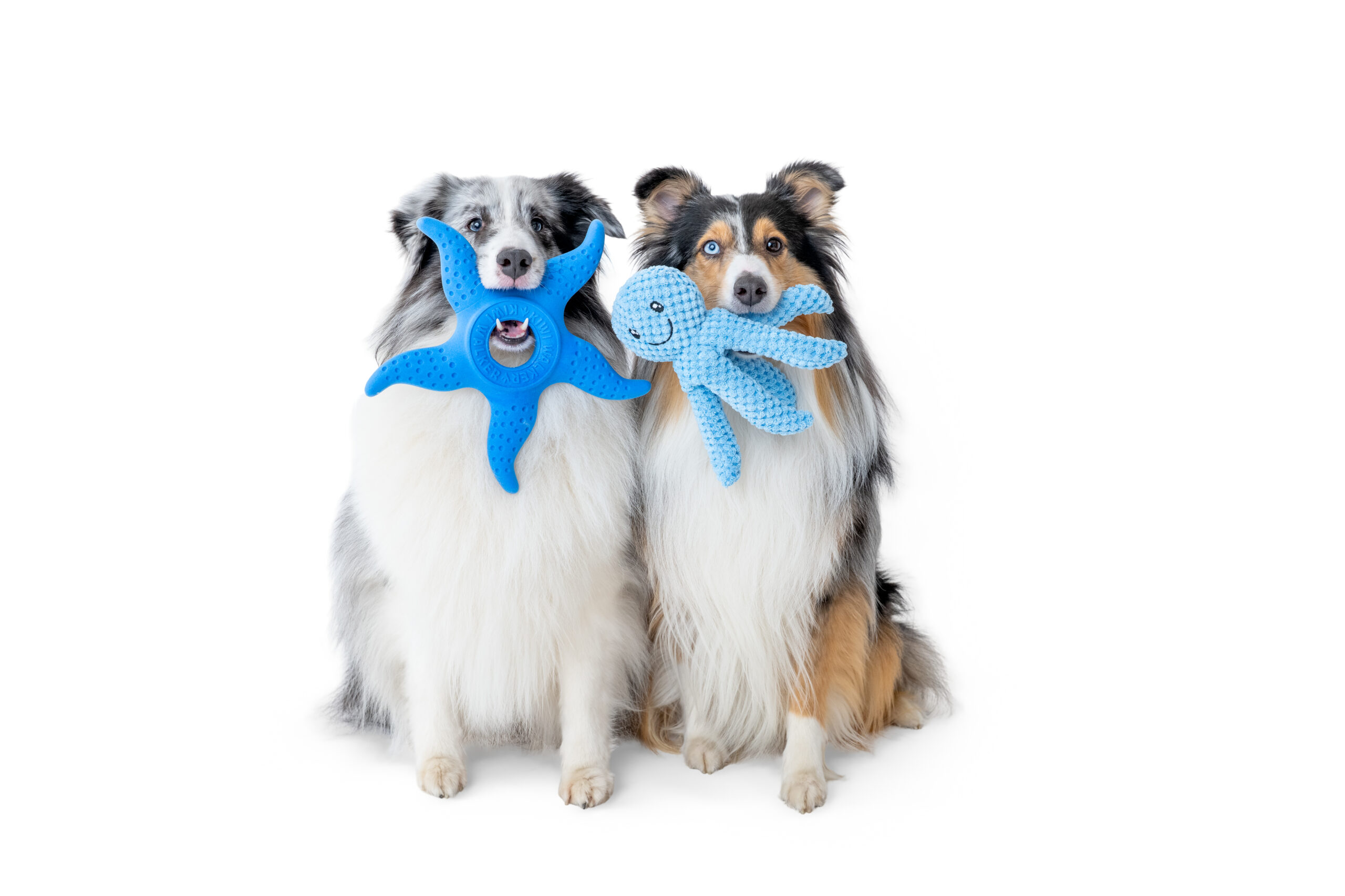 Produktová fotografie