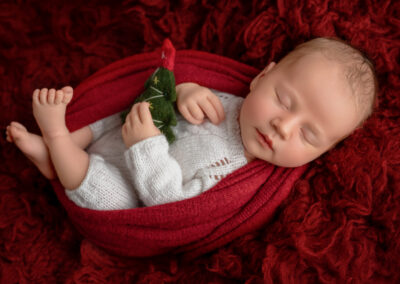 newborn